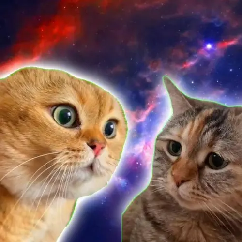 nyan様 Did a chill usual twitch stream but the fun part is I GET TO