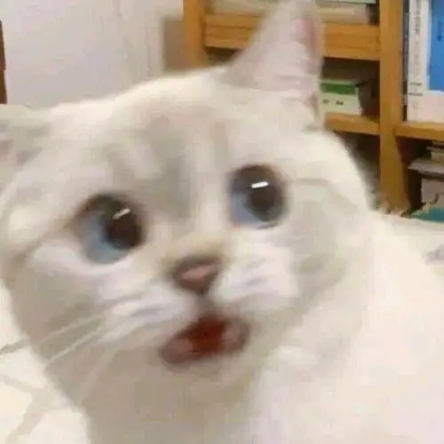 mumuページ jom280373_240x.jpg?v=1729097653