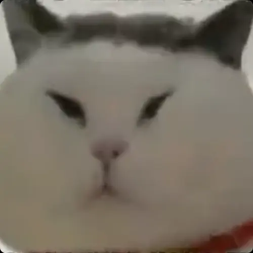 MAO ZEDONG CAT (MZCAT) | Next-Gen Solana Explorer